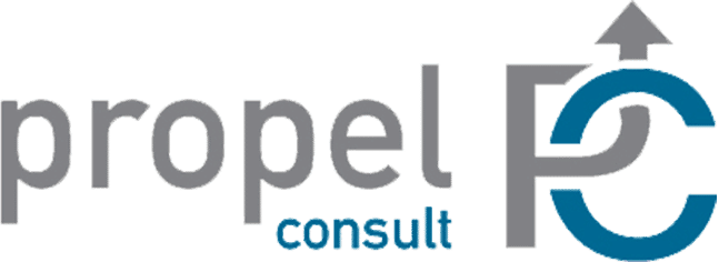 Propel Consult