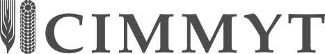 CIMMYT
