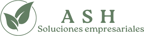 ASH Soluciones Empresariales