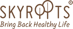 SkyRoots Ventures