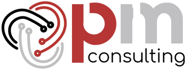 PM Consulting