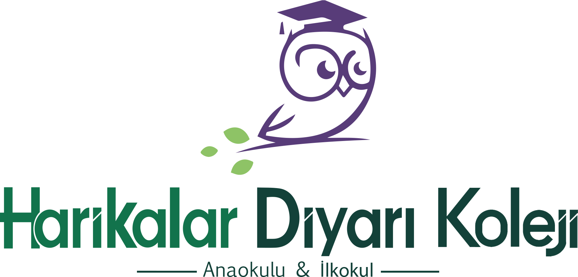 Harikalar Diyarı Koleji