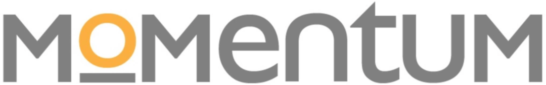 Momentum Staffing Group