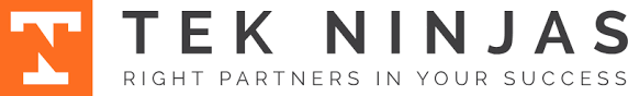TEK Ninjas