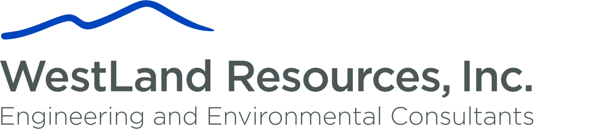Westland Resources