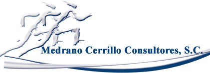 Medrano Cerrillo Consultores