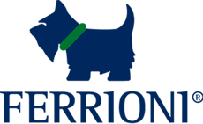 Ferrioni