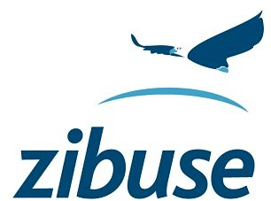 Zibuse Staffing Solutions