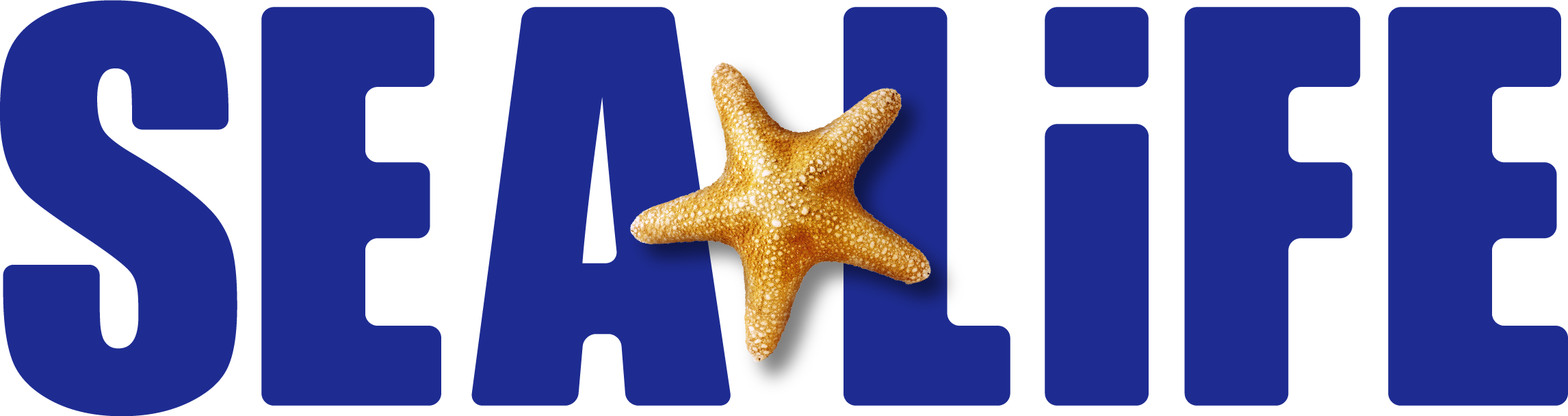 Sea Life
