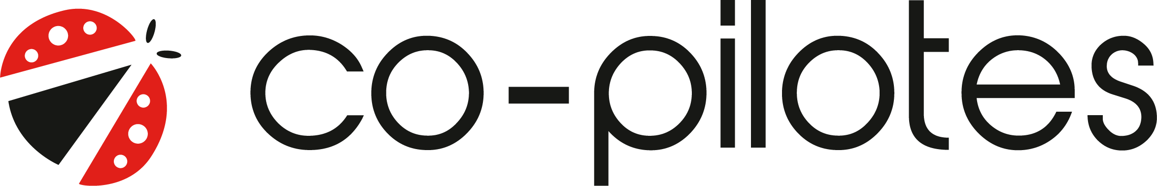 Co-Pilotes