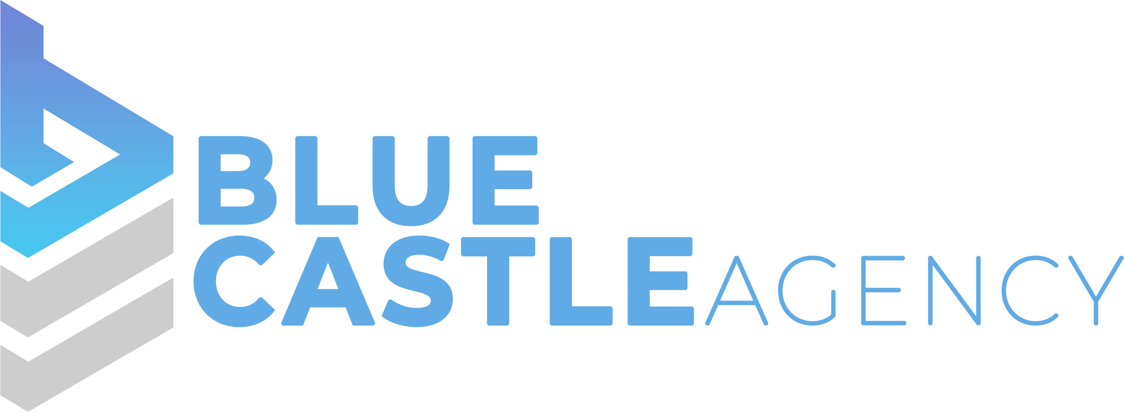 Blue Castle Agency