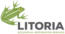 Litoria ERS