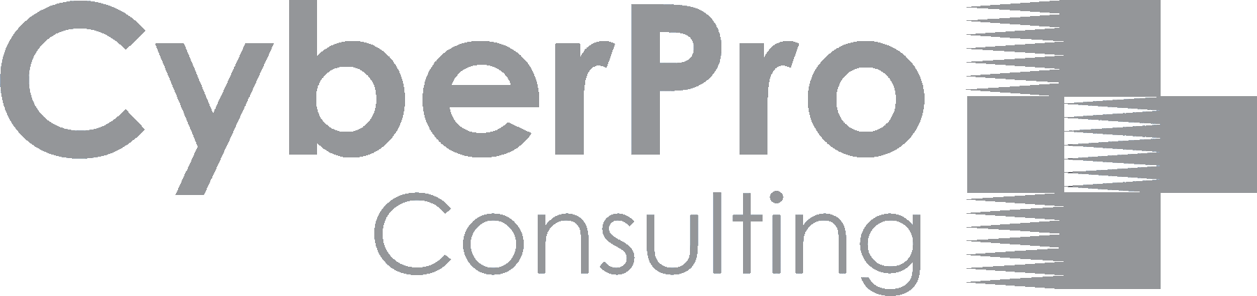 CyberPro Consulting