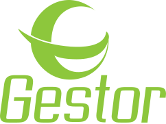 Gestor Consultoria em Gestão