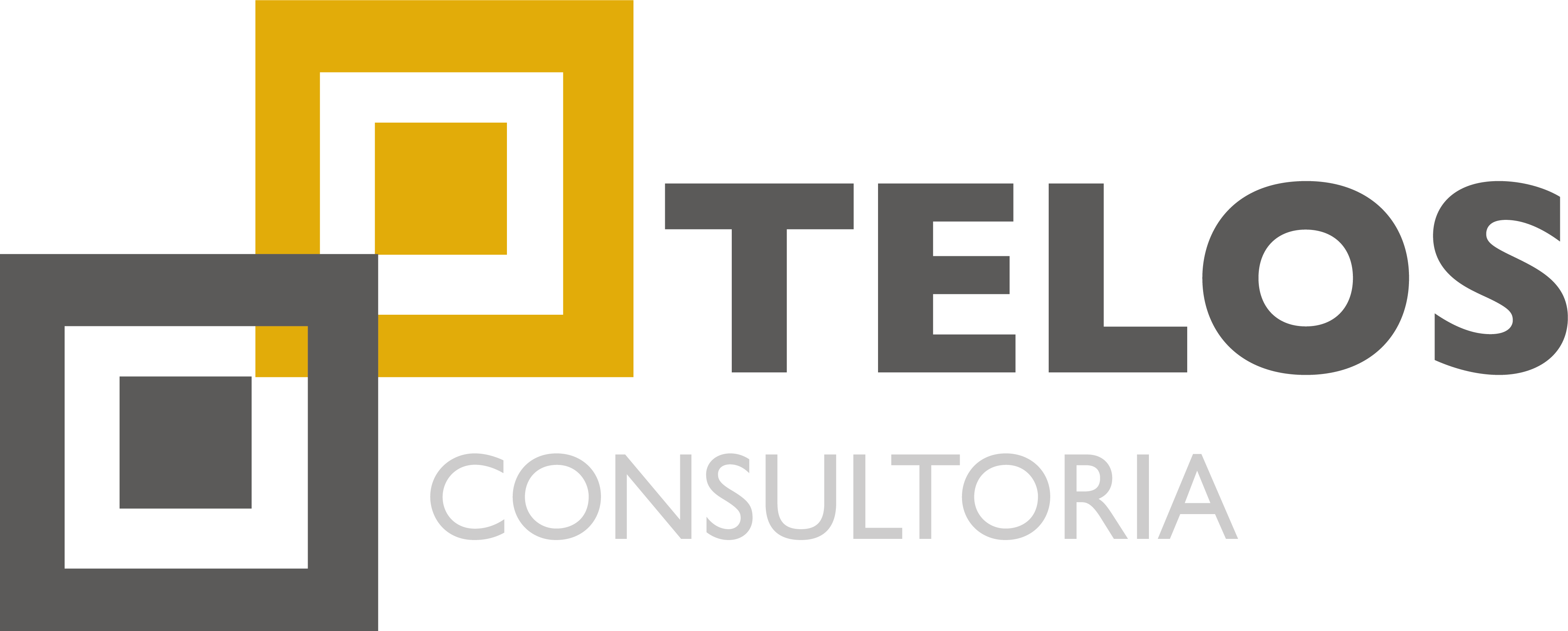 Telos Consultoria