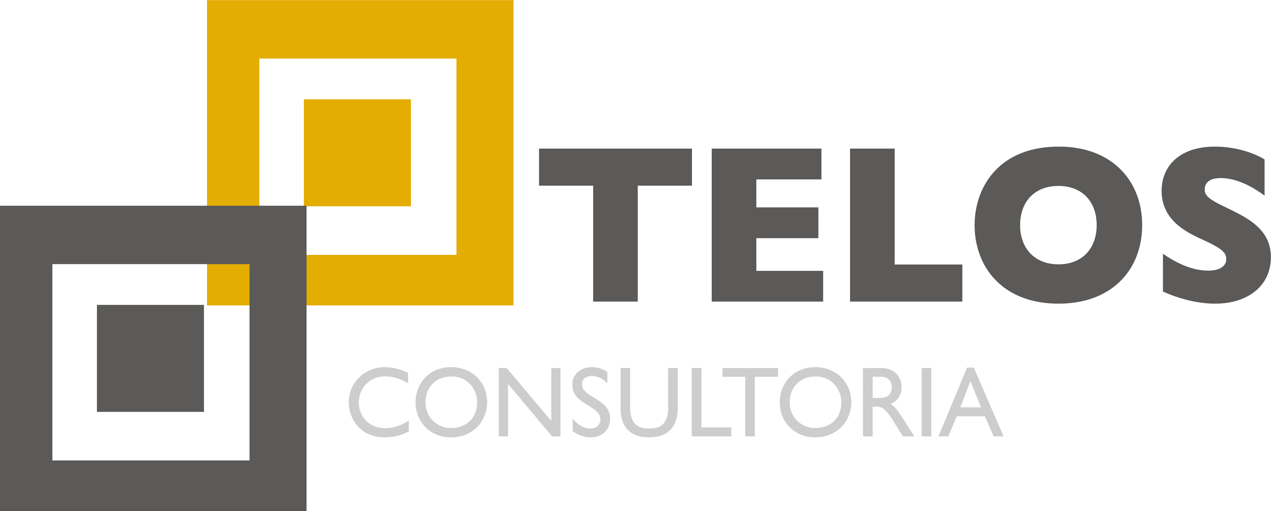 Telos Consultoria