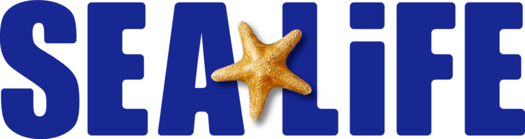 Sea Life