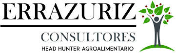 Errázuriz Consultores