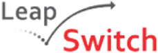 Leapswitch Networks
