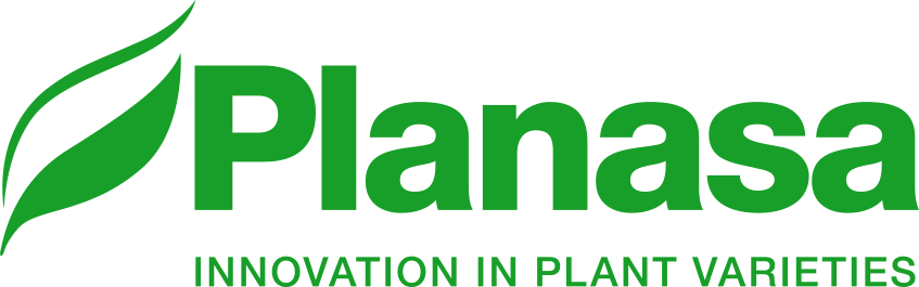 Planasa