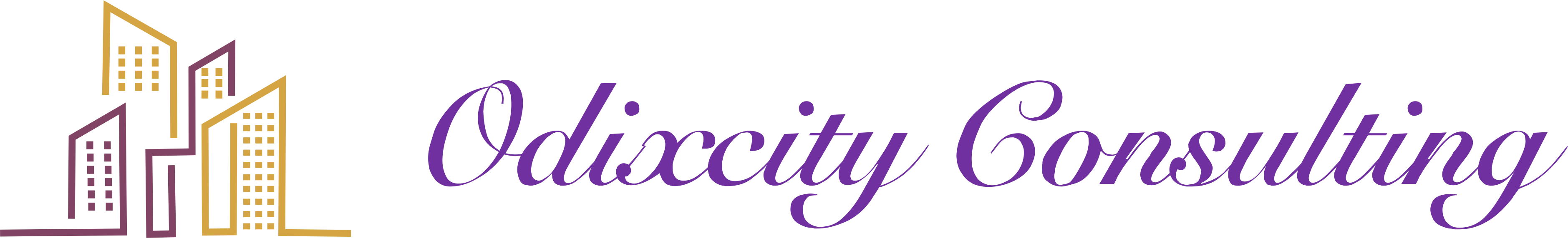Odixcity Consulting