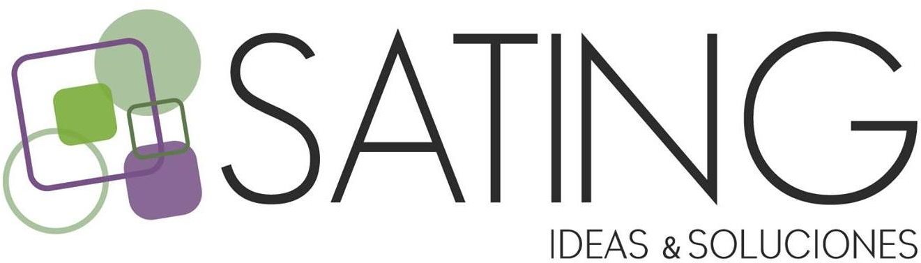 Sating Consultora