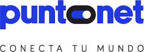 Puntonet