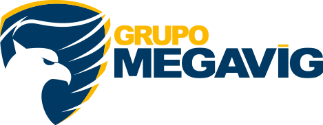 Grupo Megavig