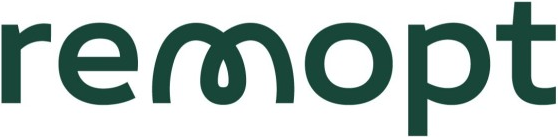 RemOpt