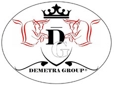 Demetra Group