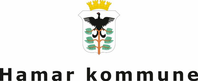 Hamar kommune
