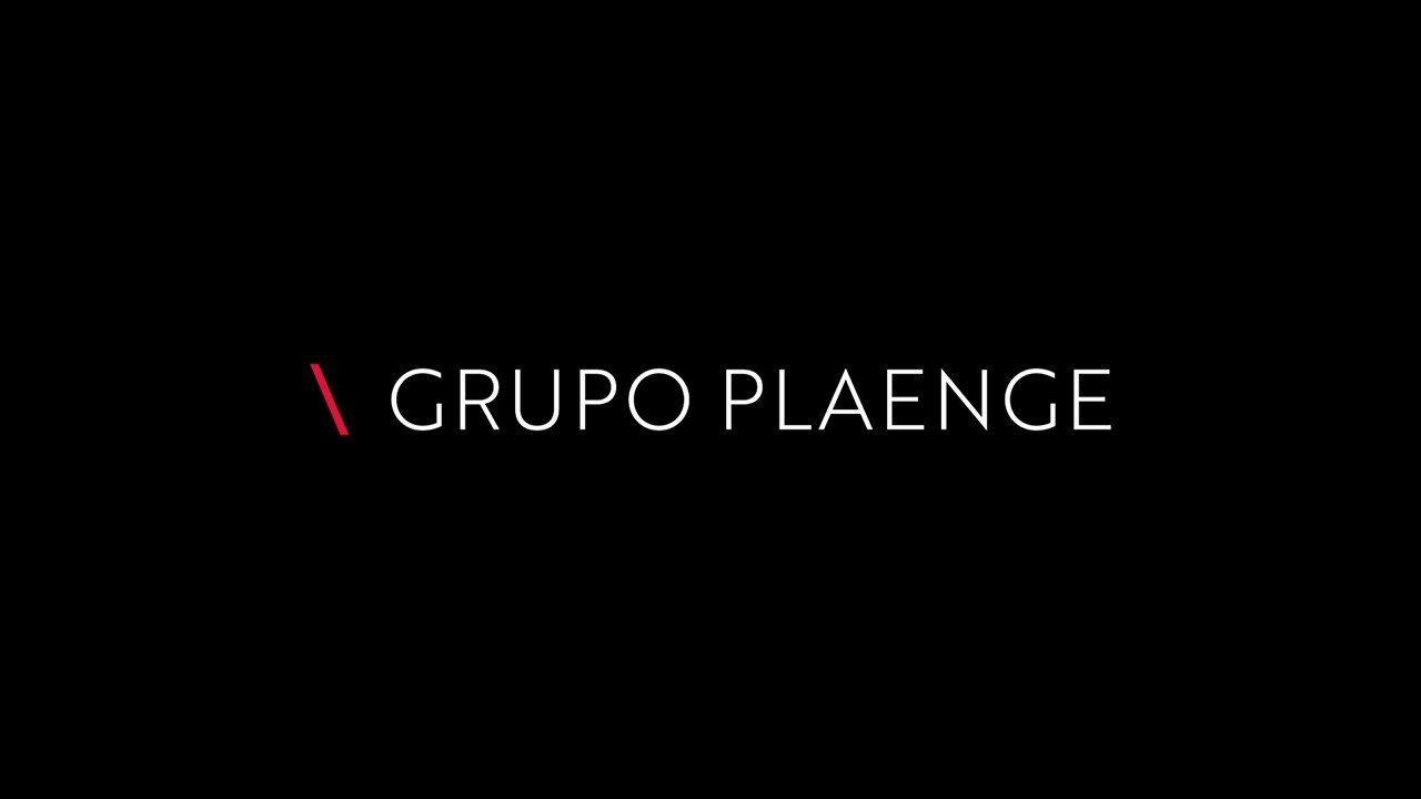 Grupo Plaenge