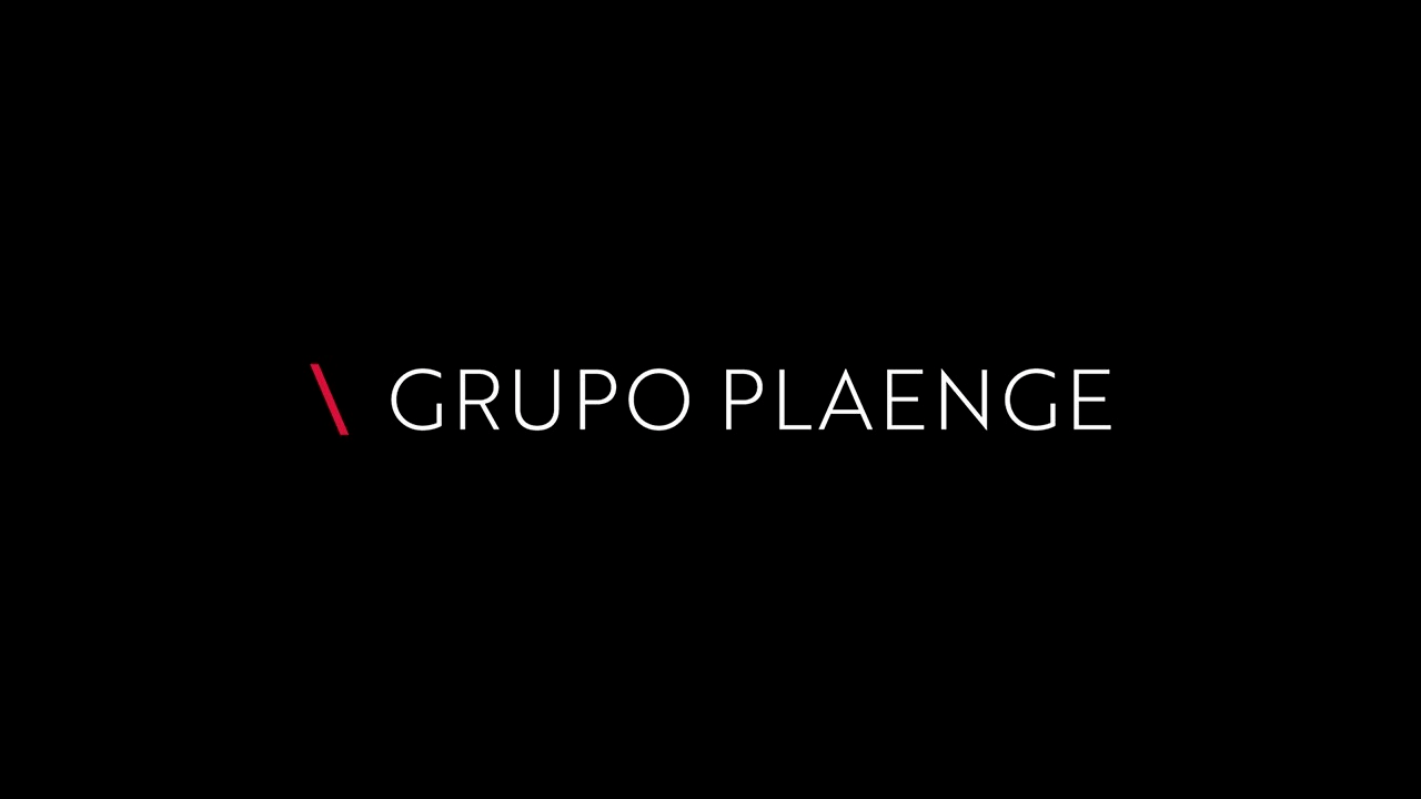 Grupo Plaenge