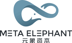 Meta Elephant