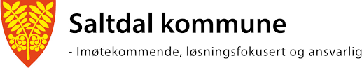 Saltdal kommune