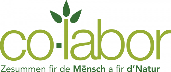 Co-labor