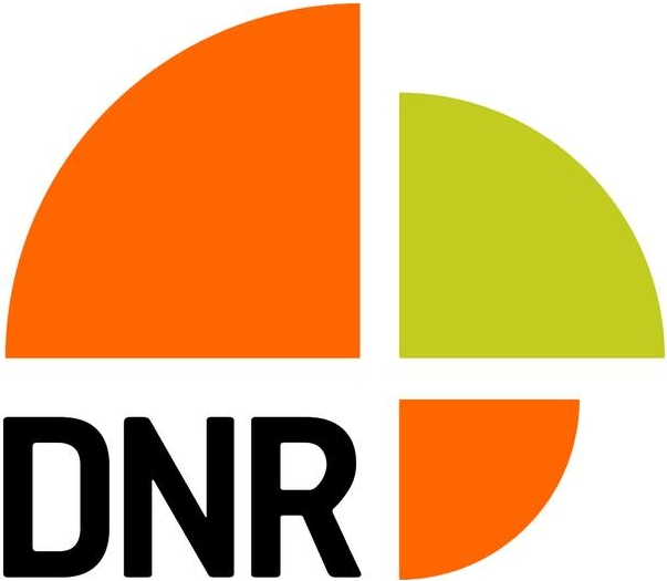 Grupo DNR