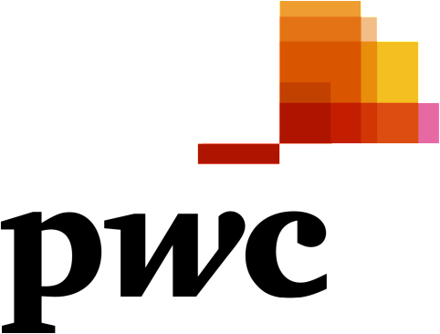 Manager- General Business Consulting (Government & Real Estate Focus)- PwC Tax- Nanjing