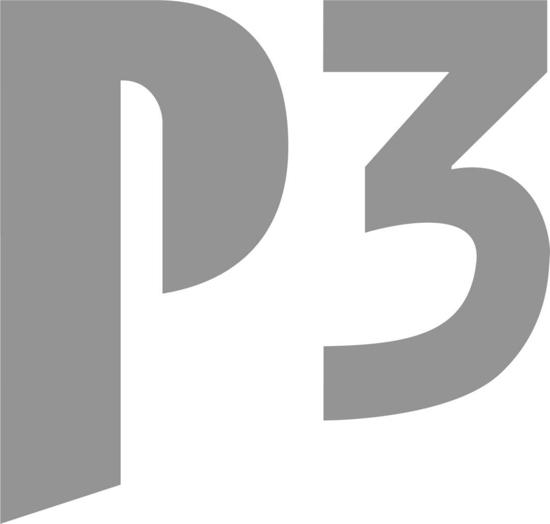 P3 Group