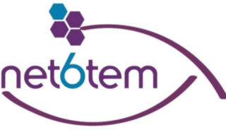 Net6tem