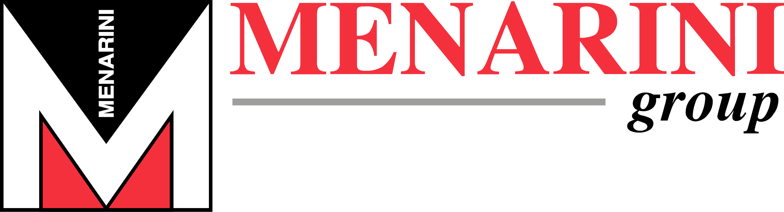 Gruppo Menarini