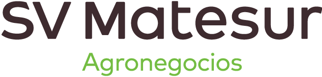 SV Matesur