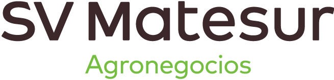SV Matesur