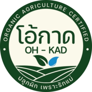 ปลูกผักเพราะรักแม่