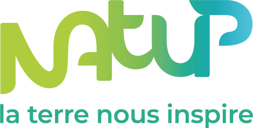 NatUp