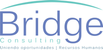 Bridge Consulting
