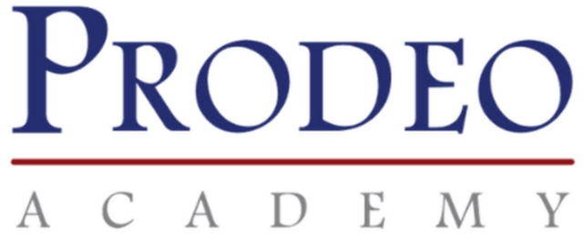 Prodeo Academy