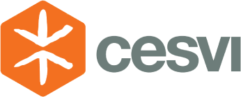 Cesvi