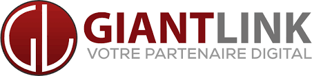 GiantLink