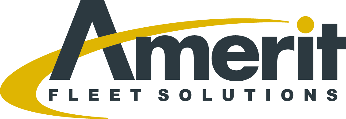 Amerit Fleet Solutions